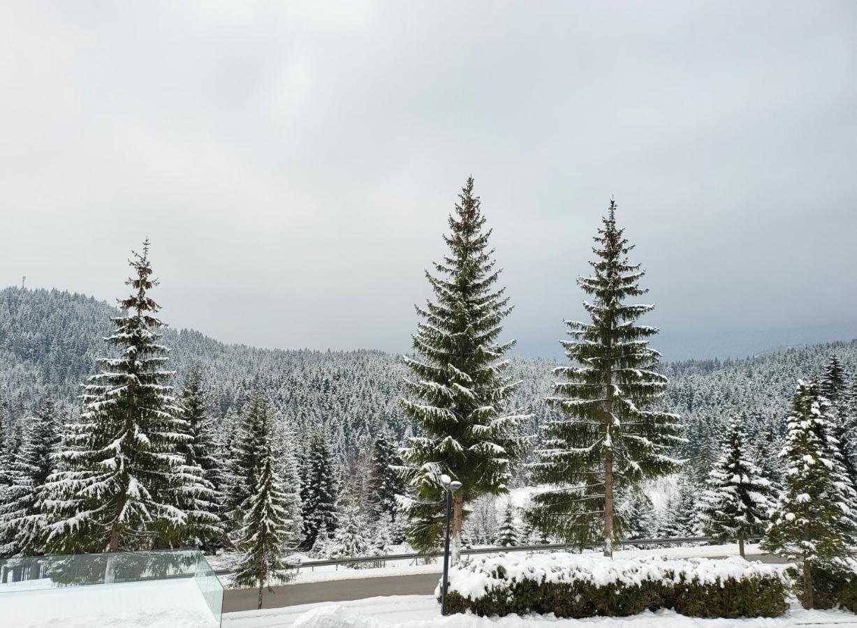 Hotel Forest Pale Exteriér fotografie